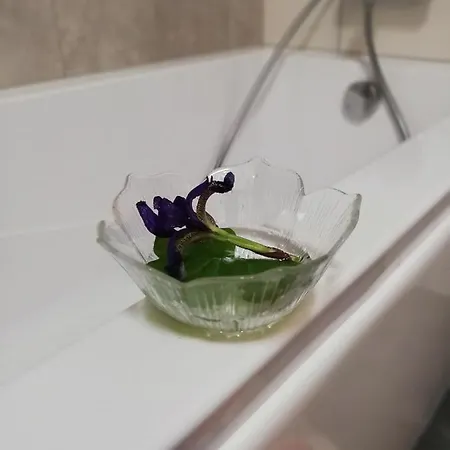 Froja Lägenhet
