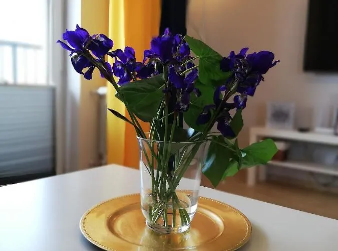 Froja Apartman Zator